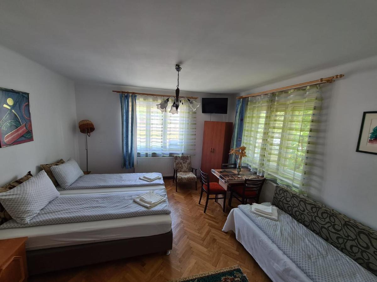 Aurora vendégház Sfântu Gheorghe Exterior foto