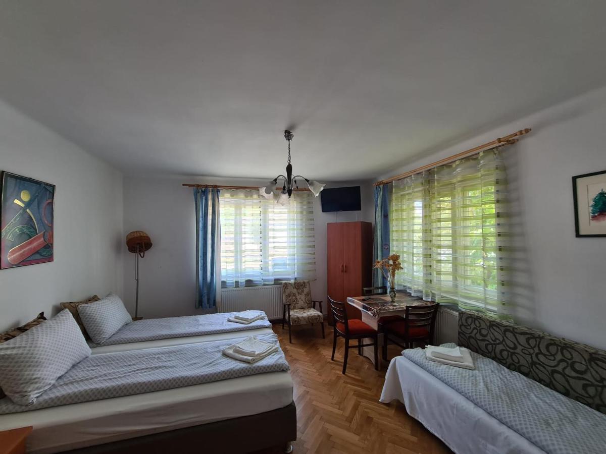 Aurora vendégház Sfântu Gheorghe Exterior foto