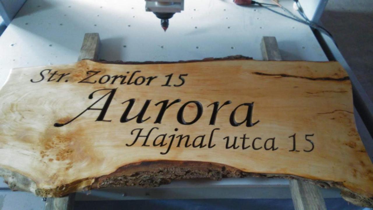 Aurora vendégház Sfântu Gheorghe Exterior foto