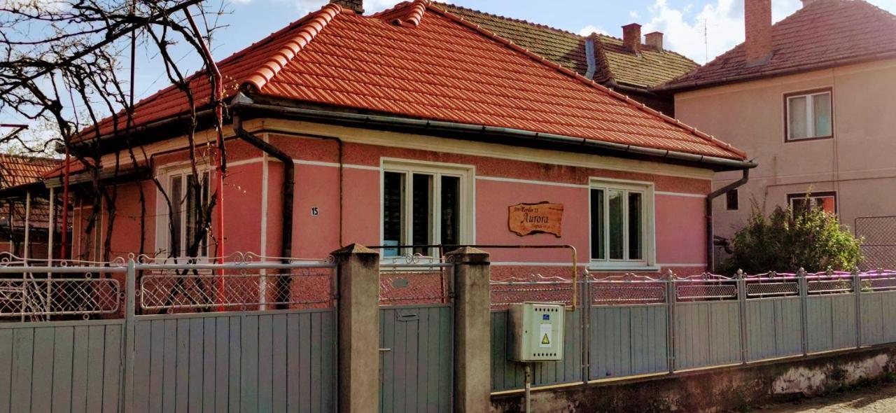 Aurora vendégház Sfântu Gheorghe Exterior foto